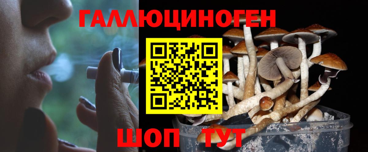 Галлюциногенные грибы GOLDEN TEACHER  Вход с VPN  Видное  Псилоцибиновые грибы Psilocybine cubensis 